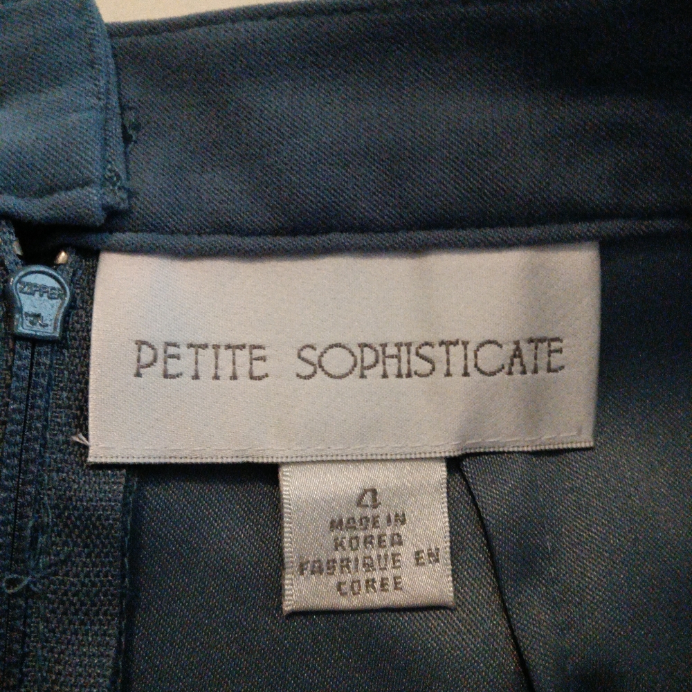 Petite Sophisticate A line skirt